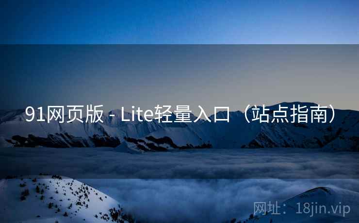 91网页版 - Lite轻量入口（站点指南）