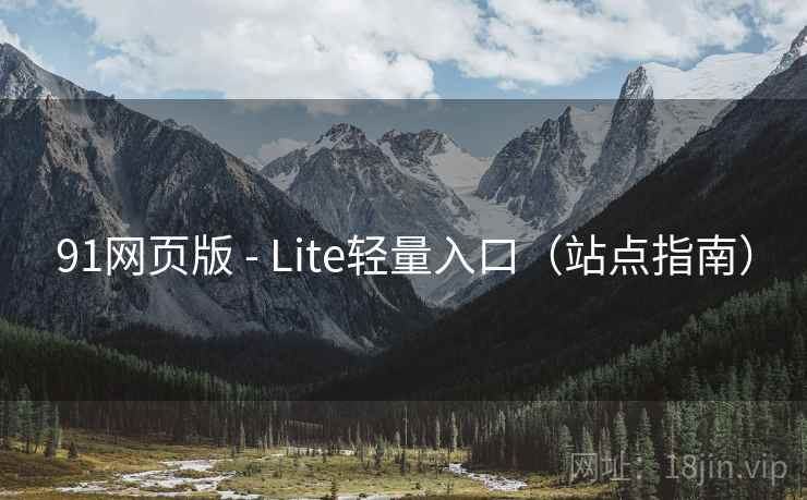 91网页版 - Lite轻量入口（站点指南）