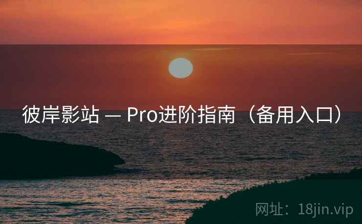 彼岸影站 — Pro进阶指南（备用入口）