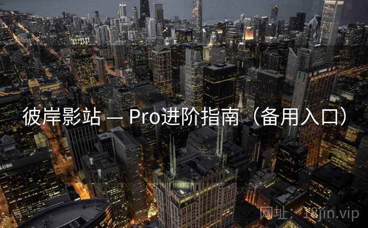 彼岸影站 — Pro进阶指南（备用入口）