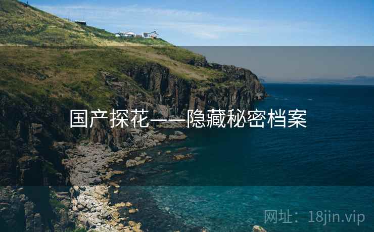 国产探花——隐藏秘密档案