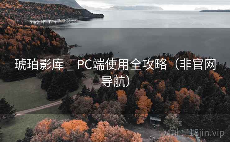琥珀影库 _ PC端使用全攻略（非官网导航）