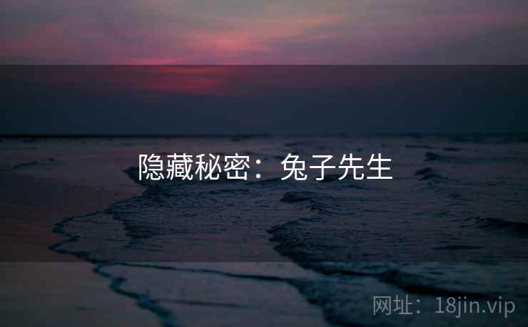 隐藏秘密：兔子先生